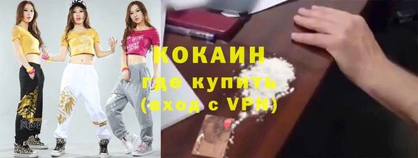шишки Алексин