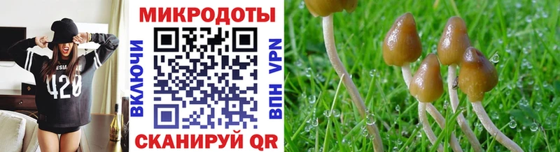 Псилоцибиновые грибы Magic Shrooms  как найти наркотики  Цоци-Юрт 