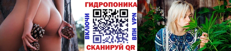 сколько стоит  Цоци-Юрт  Марихуана конопля 